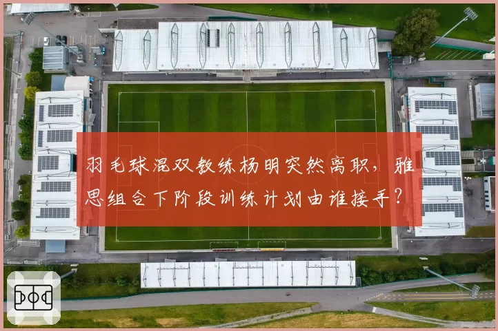 羽毛球混双教练杨明突然离职，雅思组合下阶段训练计划由谁接手？