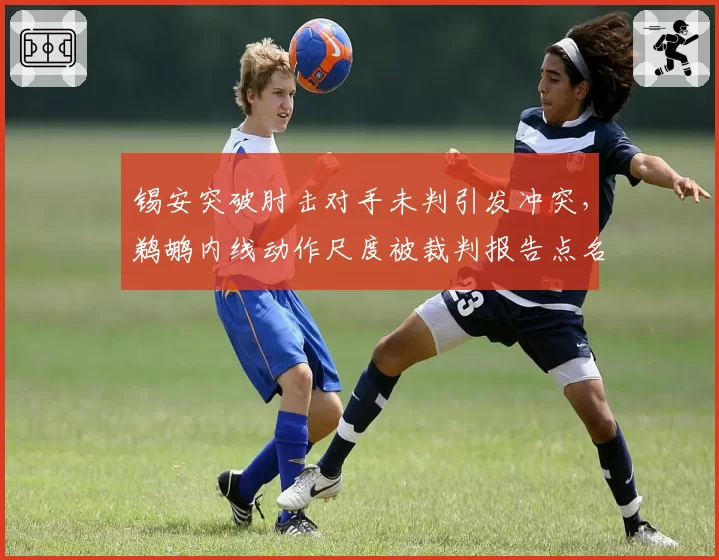 锡安突破肘击对手未判引发冲突，鹈鹕内线动作尺度被裁判报告点名