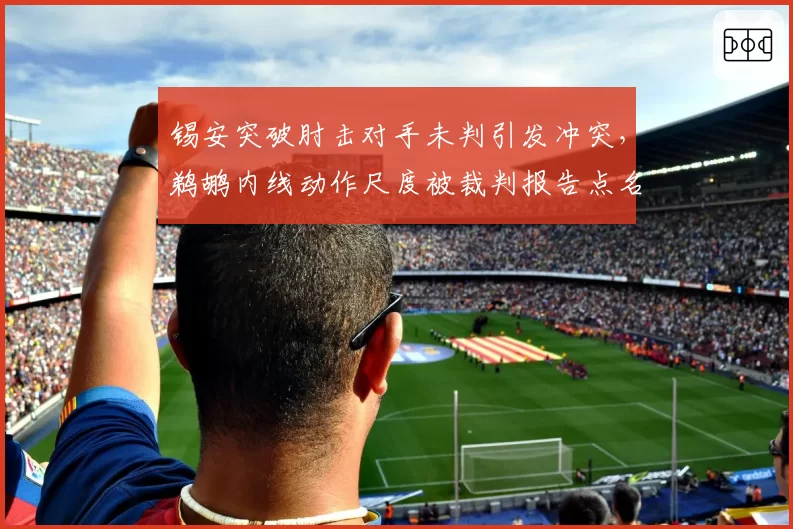 锡安突破肘击对手未判引发冲突，鹈鹕内线动作尺度被裁判报告点名