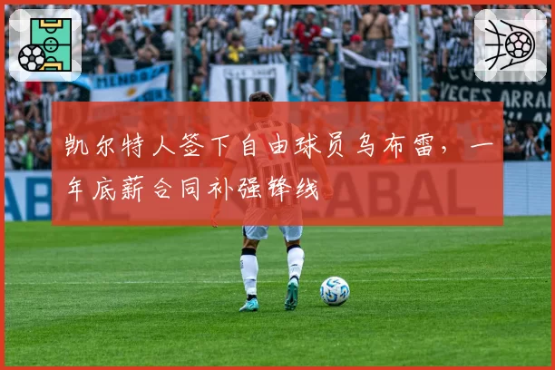 凯尔特人签下自由球员乌布雷，一年底薪合同补强锋线