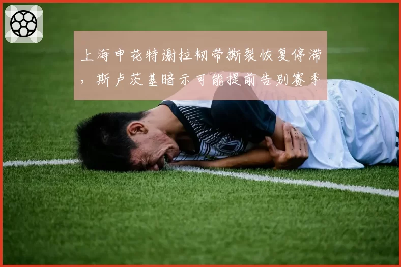 上海申花特谢拉韧带撕裂恢复停滞,斯卢茨基暗示可能提前告别赛季