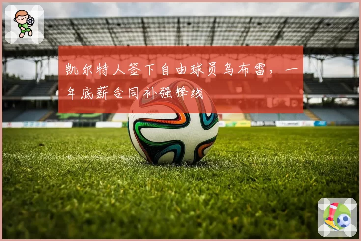 凯尔特人签下自由球员乌布雷，一年底薪合同补强锋线
